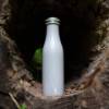 Lurch 0.5L Insulated Bottle - Şişe Termos resmi