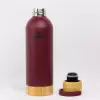 Igloo Hydrate Pro Termos 500ml Bordo