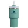 Stanley 0.6L Quencher H2.O FlowState Tumbler Pipetli Termos Bardak Spring Green