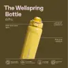 Stanley 0.7L Wellspring Bottle - Yalıtımlı Su Şişesi Matara Dijon Gloss