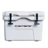 Ice Peak Aden Plus Buzluk 35 Litre